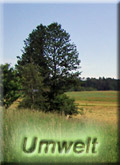Umwelt