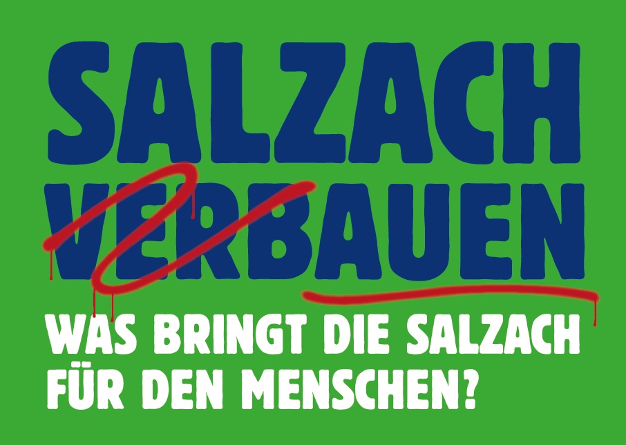 Salzach (Verb)auen