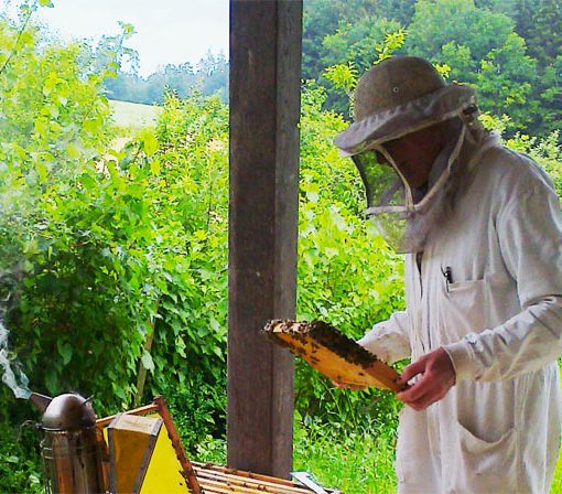 Imker am Bienenstock