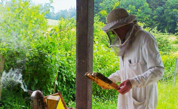 Imker am Bienenstock