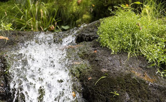 Trinkwasser Quelle